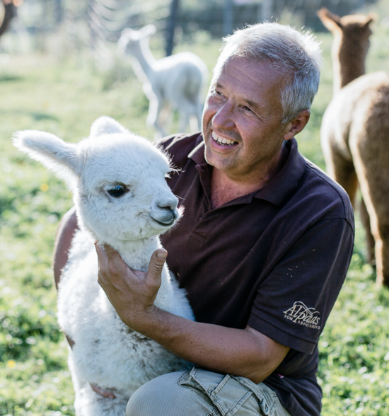 Zucht Alpakahof Alpacas vom Aspoltsberg Gaspoltshofen